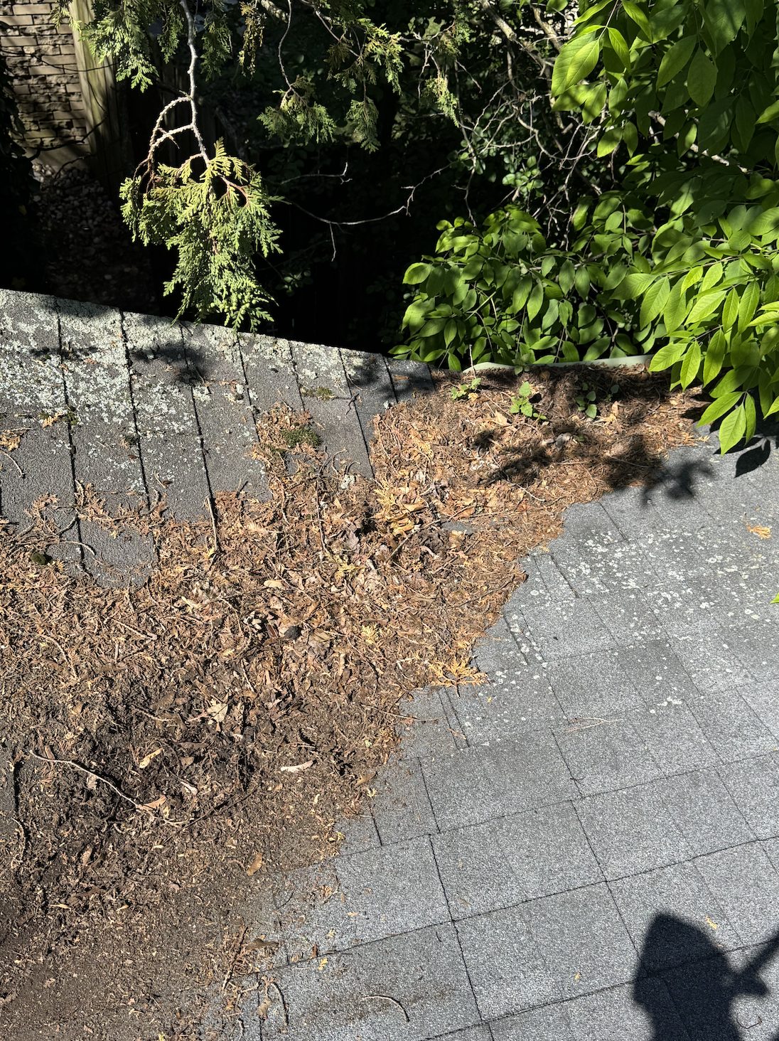 A roof valley full of leaves and debris before cleaning